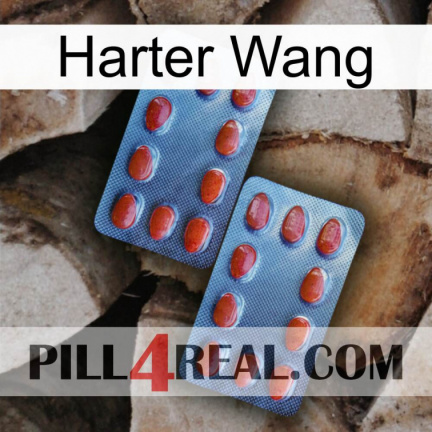 Hard Wang 05